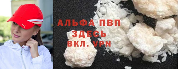 стаф Арсеньев