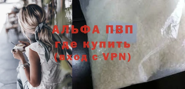 стаф Арсеньев