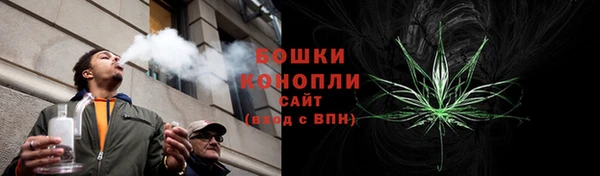 индика Михайловск