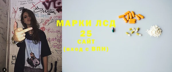 стаф Арсеньев