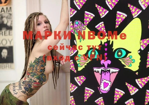 индика Михайловск