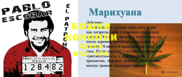 стаф Арсеньев