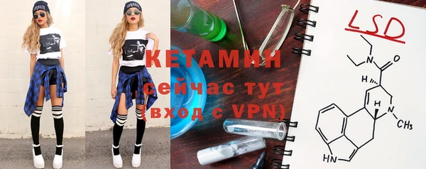 стаф Арсеньев
