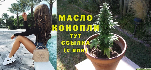 стаф Арсеньев