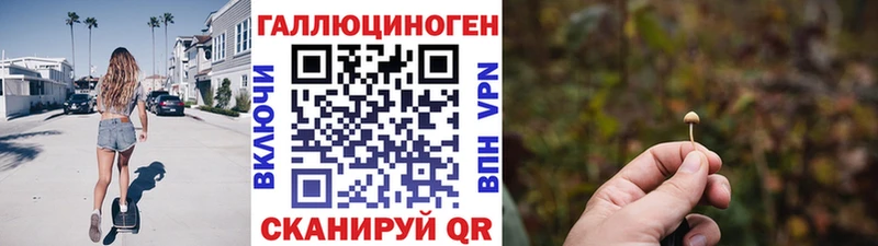 Галлюциногенные грибы прущие грибы  Бор 